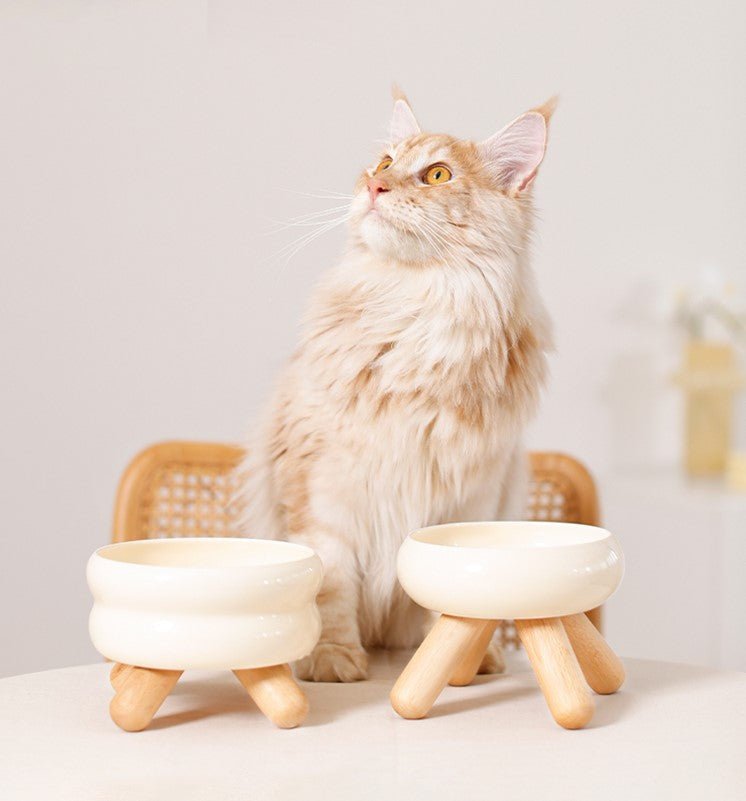 Futterschale aus Keramik